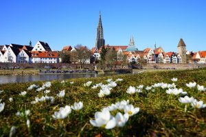 Umzug Ulm